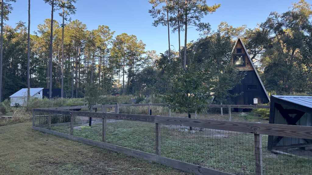 Rustic A-frame cabin nestled among tall pine trees at Heirloom Hamlet, Ridgeland, South Carolina. A fenced garden and nearby structures add charm to the serene, natural setting, perfect for a peaceful escape