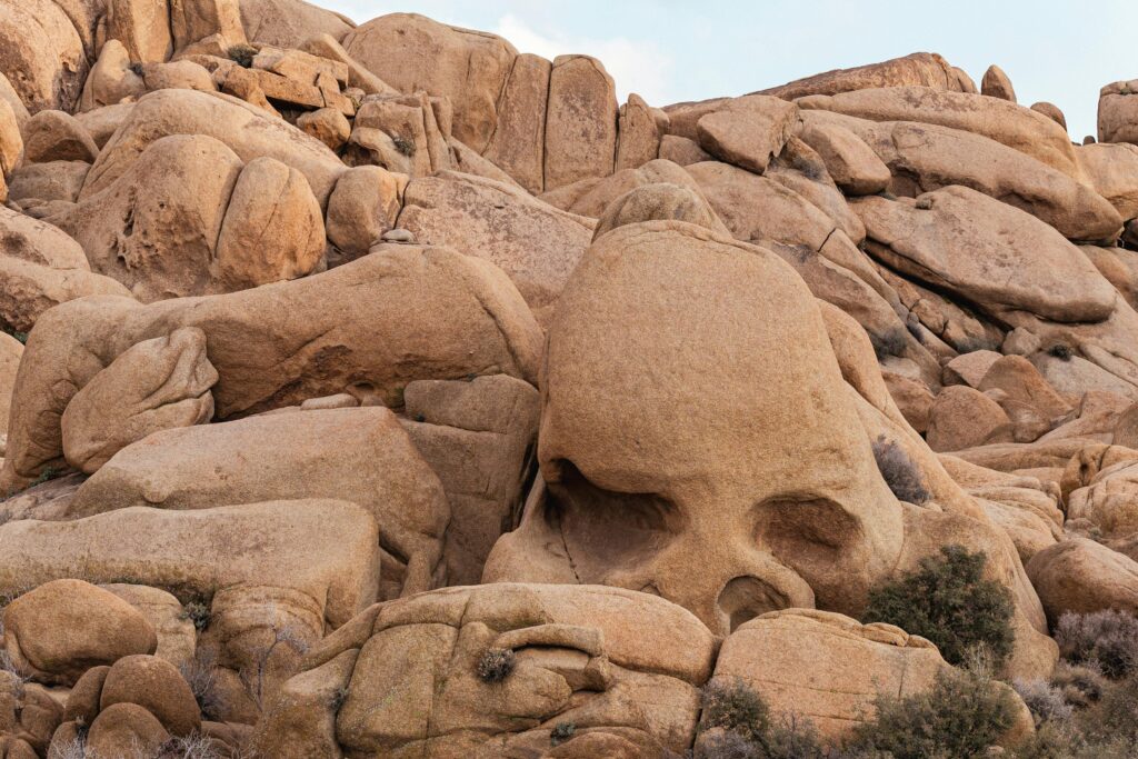 A natural rock formation known as Skull Rock in Joshua Tree National Park, resembling a human skull with hollowed-out eyes and nose, surrounded by rugged, beige-colored boulders under a clear sky.